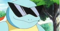 Squirtle 