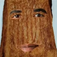 Grilled obama cheese