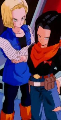 Android 17 and 18