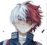 Shoto Todoroki