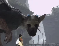Trico