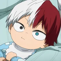 Shoto Todoroki 
