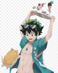 BF Izuku Midoriya 