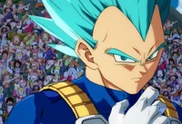 SSB vegeta