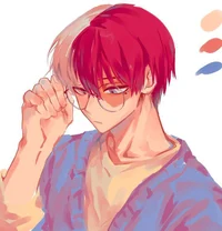 Shoto Todoroki 