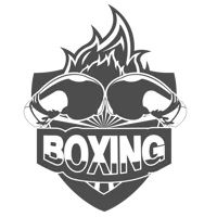 BOXING CAREER 