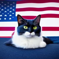 American Cat