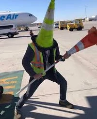 The cone warrior