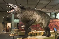 Andrewsarchus 