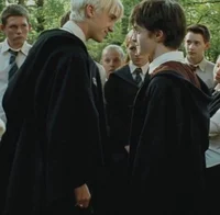 Harry and Draco 