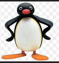 Pingu 