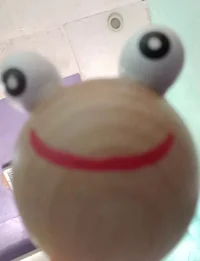 Mr_IdotenWoodWormius