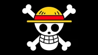 One Piece Pirate