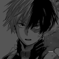 Shoto Todoroki