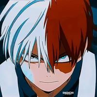 Shoto Todoroki