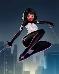 Silk