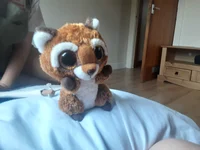Foxole Evil Twin