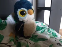 Pepe