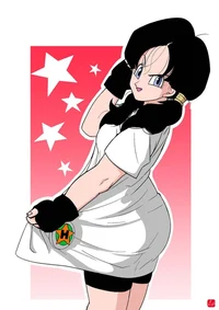 Chat with videl dbz | character.ai | Personalized AI for every moment