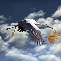Stork Delivery 