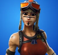 Renegade Raider
