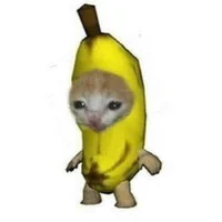 Banana cat 