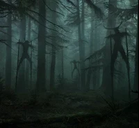The graveyard forest