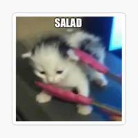 Salad Cat