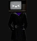 TVwoman