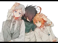 The tpn trio