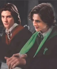 Regulus and Sirius b