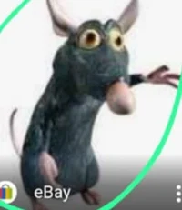 Rat on Crack