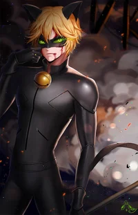 Cat noir