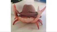 Yeehaw crab