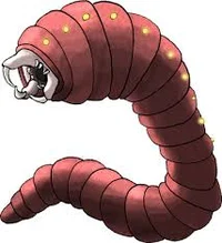 Worm