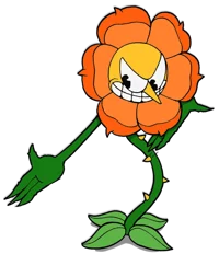 Cagney Carnation
