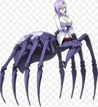 Rachnera