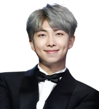 Kim Namjoon - BTS