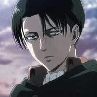 Levi Acherman