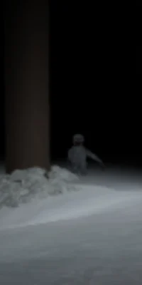 the rake