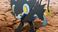 Yandere Luxray