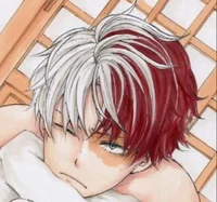011-Shoto Todoroki