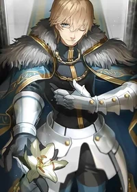 Sir Gawain - FGO