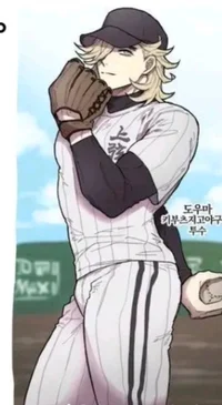 Baseball douma