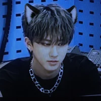 Catbin