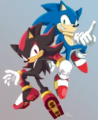 Sonic and Shadow