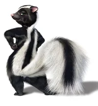 Stella the Skunk