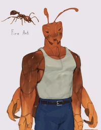 Fire Ant
