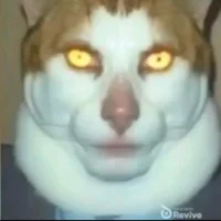 Monday left me broke