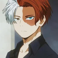 Shoto todoroki 